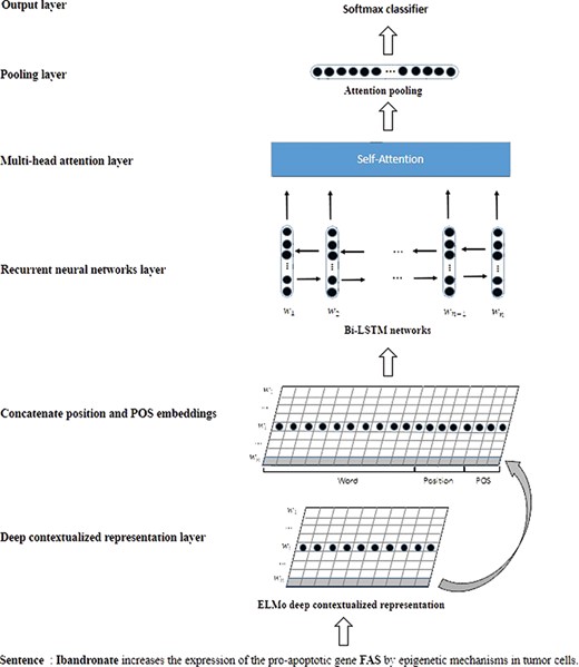 The schematic overview of our model.