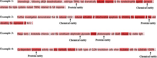 Examples of attention weight distribution.