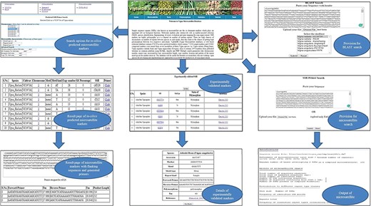 Interface of VigSatDB for various searches.