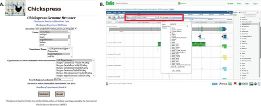 Searching for specific genes in Chickspress. (A) Searching for CLSNT2 expression in nerve tissues using the Chickspress Genome Browser main page. (B) Researchers may also directly search from the CoGe browser by entering a region or using the `Find Features’ option (red box). Identified features are displayed in the right-hand side menu.