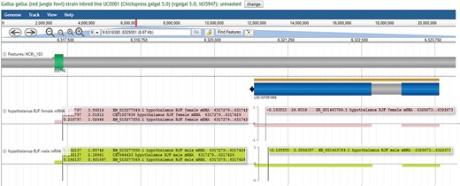 LOC107051856 expression varies in concert with CLSTN2 transcripts. LOC107051856 is an uncharacterized ncRNA nested within CLSTN2. LOC107051856 is highly expressed in female hypothalamus but not in male hypothalamus. The XM_015277049 CLSTN2 transcript is more highly expressed in female compared to male hypothalamus, while the reverse is true for the XM_015277050 CLSTN2 transcript. This view may be regenerated at https://goo.gl/x5vzaa.