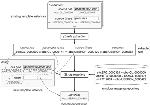 Example of rule extraction and rule-matching process for ontology-based values. From top to bottom, the figure shows the instances of the ‘Experiment’ template and an example of rule extracted from them. The user is creating a new instance of the ‘Assay’ template. This instance is matched to the rule using the equivalences between ontology terms stored in the ontology mapping repository. Finally, the recommended value for the ‘tissue’ field is ‘pancreas’.