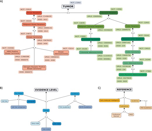 Hierarchical organization of contents of ResMarkerDB: (A) tumour types (breast and colorectal cancer), (B) levels of evidence (preclinical, clinical or guidelines mainly) and (C) sources.