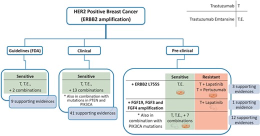 Schema of a case study (HER2 positive breast cancer) and the classifications made according to the evidence level (guidelines, clinical or preclinical), response (sensitive or resistant), biomarkers and treatments. There are 9 and 41 supporting evidences at guideline and clinical level, respectively, all of them reporting sensibility. Moreover, there are 15 evidences at preclinical showing different responses depending on the treatment or the presence of additional alterations.