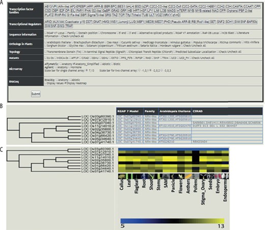 Features of the rice TF phylogenomics database are shown. (A) Treeview option enables a phylogenomic analysis of 58 TFs and 22 transcription regulators. (B) Selected family can be analyzed by their sequence features, orthologs, topology and available mutants. (C) Transcriptomic data, mined and processed from Affymetrix, Agilent or RNA-seq platforms, are integrated into the phylogenetic tree.