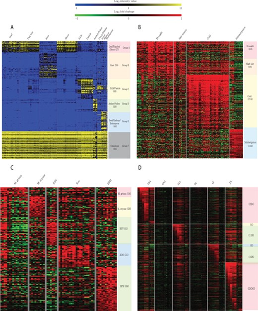 Heatmaps of featured gene expression groups that are derived from meta-expression analysis of (A) anatomical samples, (B) abiotic stress samples, (C) biotic stress samples and (D) hormone-treated samples. The number of genes per group is shown in parentheses after the group name. For stress and hormone-treated featured groups, a statistical cut-off of >2 log2 fold-change at P < 0.05 was used.