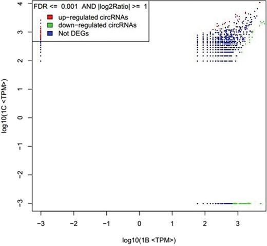 circRNAs expression level of 1B and 1C. The abscissa represents the signal expression of the control sample 1B, and the ordinate represents the expression of the treated sample 1C. Each point in the graph represents a circRNAs, and the red and green dots represent the significant expression circRNAs. The red dot indicates that the expression of circRNAs is up-regulated (compared with the control samples), the green dot indicates that the expression of circRNAs is down-regulated (compared with the control samples) and the blue dot indicates that there is no significant difference between the circRNAs.