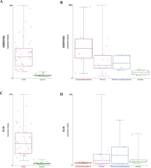 Comparison of gene expression profile in different tissues from HDM-sensitized individuals. Gene expression data from two datasets present in our collection are shown: (i) gene expression patterns in HDM-stimulated CD4 T cells and IgG to IgE ratios—GSE70760, and (ii) distinct epithelial gene expression phenotypes in childhood respiratory allergy—GSE19190—disease state. SERPINB2 (A and B) and IL1β (C and D) gene expression. HDM = house dust mite; Control = Healthy = healthy individuals; and Uncontrolled asthma = individuals with rhinitis and uncontrolled asthma (further definition can be found in the original study description (33)).