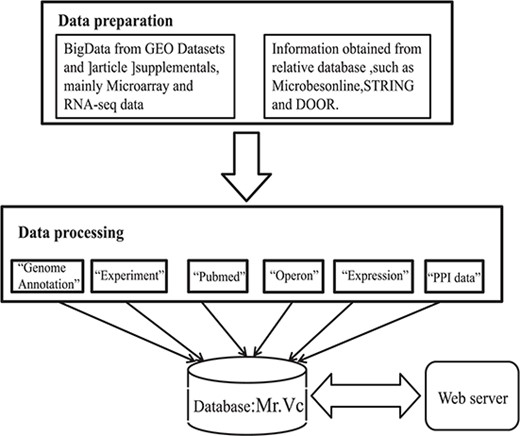 Data acquistition and organization in Mr.Vc database.