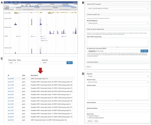 Tools in SpinachBase. (A) Display of strand-specific RNA-Seq expression profiles and genetic variants in JBrowse. (B) Query interface of the BLAST tool. (C) Query interface and result page of the feature search function. (D) Interface of the batch query.