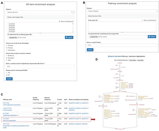 Enrichment analysis tools in SpinachBase. Query interfaces of ‘GO term enrichment analysis’ (A) and ‘Pathway enrichment analysis’ (B) tools. (C) Result page of ‘Pathway enrichment analysis’. Pathway names are linked to the specific pathway pages in the SpinachCyc database (D).