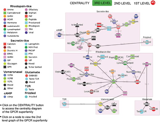 Third-level minimum spanning tree diagram of the GPCR superfamily with the base dataset. Each node represents a GPCR family. The legend shows the scheme of nodes’ colors and shapes that is used to distinguish GPCR functions annotated in GPCRdb (also labeled on the nodes).