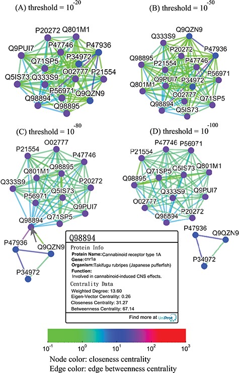 Thresholded sequence similarity network graphs of the cannabinoid receptor family with threshold distances of 10−20 (A), 10−50 (B), 10−80 (C) and 10−100 (D). Nodes and edges are colored by the values of their closeness and betweenness centralities, respectively, according to the legend. Upon clicking on a node such as Q98894, the user is presented with a modal box showing both the protein information and the centrality data of the node.