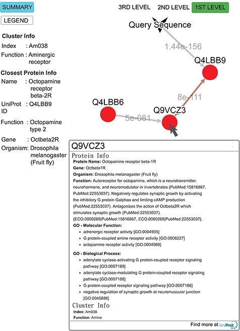 Query result for the submitted sequence G3M4F8 in SeQuery, showing the first-level cluster graph. Information about both the cluster and the closest proteins are shown on the left-hand side. Upon clicking on a node such as Q9VCZ3, the user is presented with a modal box showing both the protein information and the cluster information of the node. A double-headed arrow is used to represent the shortest edge connecting two nodes in the core, and a single-headed arrow (directed toward the node closer to the core) is used to represent all other edges connecting two nodes in the cluster. The edge connecting the query sequence to its closest adjacent sequence is also represented by a single-headed arrow. Each edge is labeled with its length.