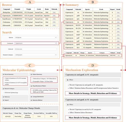 Case study of querying molecules that were associated with the resistance to capreomycin in MycoResistance. (A) Queries on capreomycin resistance-associated molecules based on the ‘Browse’ or ‘Search’ pages. (B) A complete list of curated associations between capreomycin and mycobacterial molecules on the ‘Summary’ page. (C) Example of capreomycin resistance molecule, rrs, in the ‘Molecular Epidemiology’ section of ‘Result’ page. (D) Examples of capreomycin resistance molecules, ppnK and tlyA, in the ‘Mechanism Exploration’ section of ‘Result’ page.