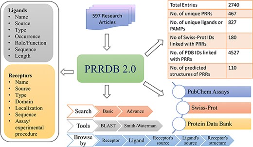 Architecture of PRRDB 2.0.