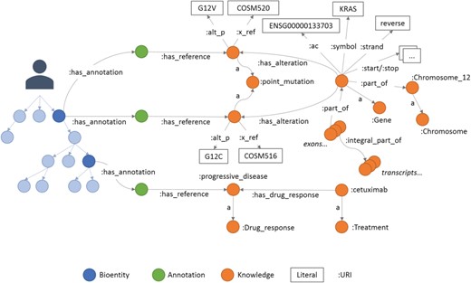 An example of annotations in Semalytics. On the left, colored with blue shadows, a small portion of a hierarchical tree where several bioentities are connected to annotation nodes (green dots in the middle) with predicates ‘has_annotation’. Annotation nodes are linked to knowledge items with predicates ‘has_reference’. On the right, a partial representation of knowledge with interconnected biological features. In this figure, the predicate ‘rdf:type’ is abbreviated ‘a’.