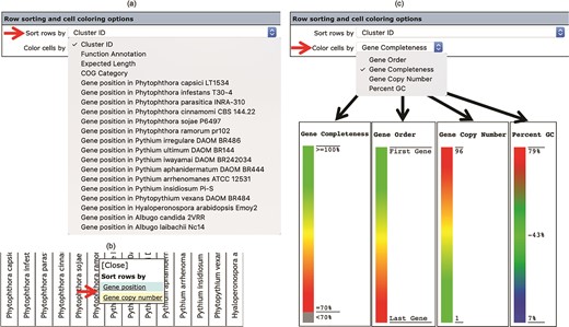 The ‘Row sorting and cell coloring’ options of the Oomycete Gene Table. Display of the gene clusters and their associated data can be customized, arranged and sorted based on: (a) cluster IDs, functional annotations, expected gene lengths and COG categories; (b) position or copy number of gene(s) in the genome; and (c) a selected property, such as gene completeness, gene order in a genome, gene copy number or CG content.