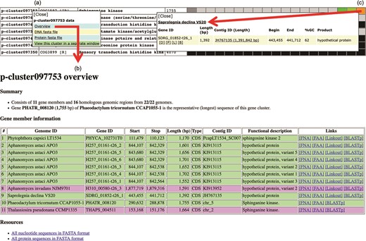 Genomic data retrieval features of the Oomycete Gene Table: (a) when a gene cluster ID is selected, several links are shown as gateways to access the genomic data of all organisms contained in that gene cluster; (b) overview genomic data includes genome IDs, contig/gene IDs, genomic location and length of the genes, functional annotations, links to gene/protein sequences, links to source databases and links to NCBI Protein-BLAST tool; and (c) when an individual cell is selected, the genomic data of an individual organism can be obtained.