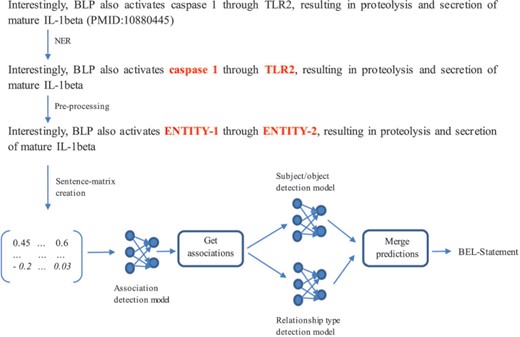 Architecture of the neural network-based system.