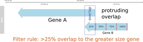 Pre-filtering of overlapping genes. In this example, two genes (A and B) annotated at the same genomic position at NCBI and Ensembl are compared to match the identifiers. In the case of a protruding overlap, the cut-off is set to 25% for the smaller sized overlapping gene (gene B). Overlaps <25% are dismissed by the overlapping approach.
