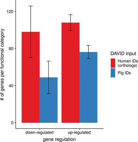 Average number of genes for functional annotation categories obtained for up- and downregulated genes for human and pig gene IDs.