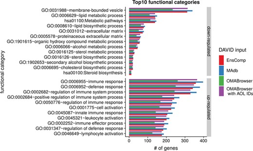 Top 10 DAVID functional annotation categories in comparison of four different databases (EnsComp: Ensembl Compara, MAdb, OMABrowser and OMABrowser with AnnOverlappeR IDs). The numbers of assigned genes to the top 10 functional categories obtained from DAVID GO chart analysis (top 10 of each database collected) for up- and downregulated genes, respectively.