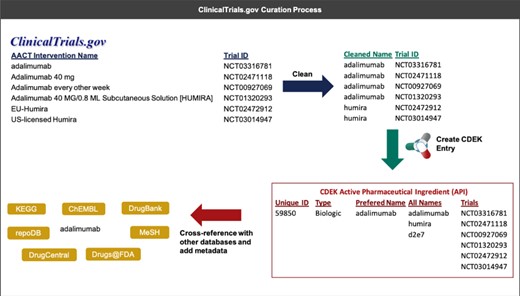 An example that illustrates the process of extracting interventions from ClinicalTrials.gov (through AACT) and creating a unique active pharmaceutical ingredient record in CDEK. Curation begins by extracting the intervention names from trials containing active pharmaceutical ingredients and cleaning names to strip any perfulous text (e.g. dosing amount, dosing frequency). Once complete, an automated program flags entities that should be merged into a single CDEK record using a set of `merging’ criteria. The curation software will also flag entities that are made up of two or more active pharmaceutical ingredients using a set of `splitting’ criteria (e.g. the drug `Mavyret’ is a combination of two active pharmaceutical ingredients, glecaprevir and pibrentasvir, used to treat hepatitis C). A unique CDEK active pharmaceutical ingredient record is created and assigned a unique id, a type, and a preferred name. All names are stored as synonyms and all trials are linked to the unique active pharmaceutical ingredient ID. Finally, several external databases are cross-referenced to pull metadata and provide hyperlinks to more information about that active pharmaceutical ingredient. This metadata was also used to flag entries that should be merged into a single active pharmaceutical ingredient.
