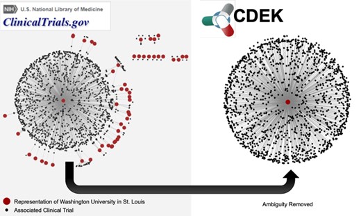 Network graph of trials associated with WUSTL. The left graph shows different representations of WUSTL in ClinicalTrials.gov as red nodes. Examples of different names representing `Washington University in St. Louis’ include the following: `Washington University School of Medicine’, `Washington Universite Siteman Cancer Center’ and various misspellings of the word `university’. Black nodes are the clinical trials associated with each different name for the WUSTL organization. The right graph shows CDEK data with WUSTL as a single organization with its corresponding clinical trials.