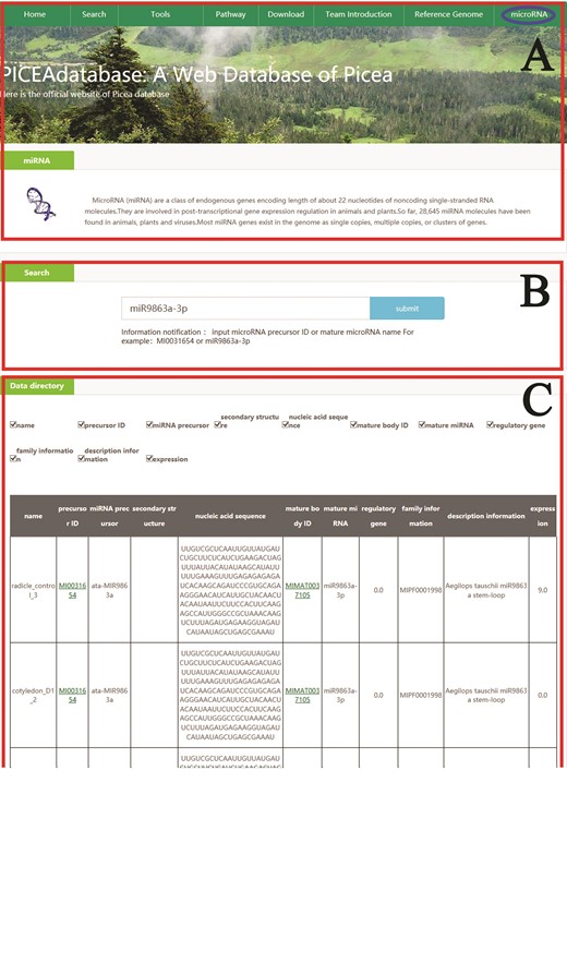 An example that how to get microRNA information in PICEAdatabase. (A) The ‘blue ovals’ indicates the linkage to the microRNA module page. (B) Input the microRNA precursor ID or mature microRNA name to get the information in PICEAdatabase. (C) The information of the searched microRNA.