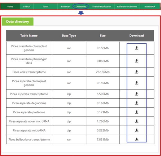 Downloading data from PICEAdatabase. The ‘blue ovals’ indicate the linkage to the download module page, and the ‘blue box’ indicates the linkages to the data.