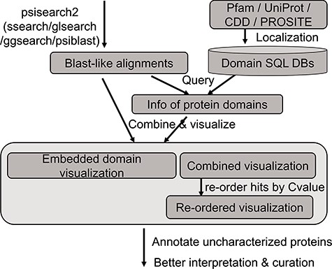 The analysis flow chart of domain annotation and visualization in PSISearch2D.