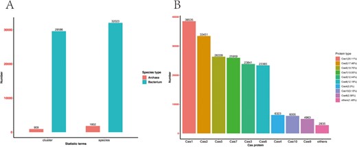 Statistics of CasPDB. The number of bacterial and archaeal species and their putative Cas operons (A). Statistical distribution of each type of Cas proteins (B).