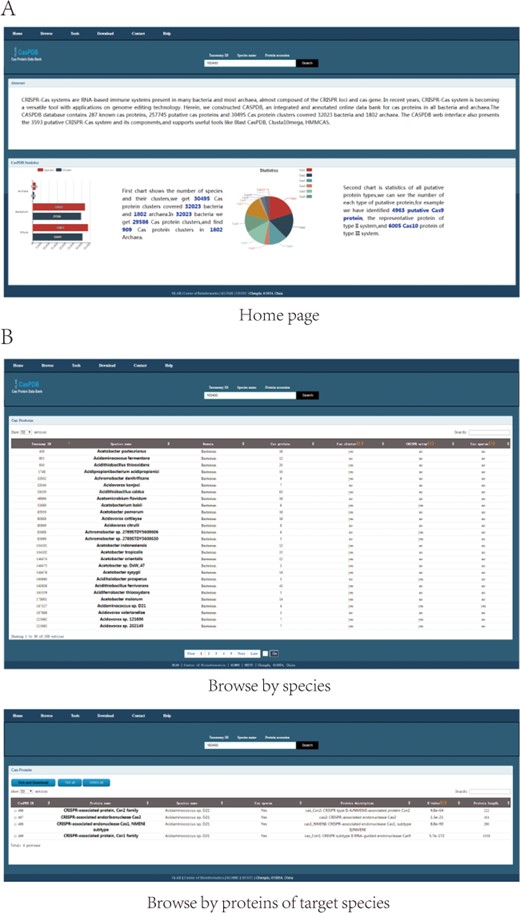 Home and browse pages. Search option and home page (A). Browse page with all Cas proteins. The bottom section of the page shows protein distribution in bacteria (B).