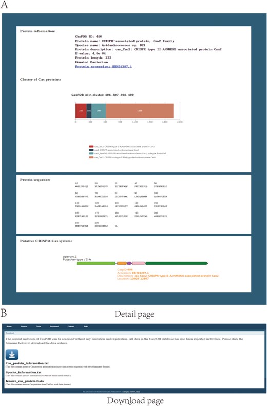 Detail and download pages. The detail page shows basic information of protein and operons (A). Download option for all Cas proteins and proteins of selected items (B).