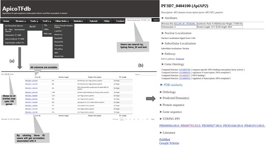 (a) ApicoTFdb home page defining each tab. (b) Per gene page and detailed annotation associated with each TF. Each TF is associated with annotations viz. Molecular weight, Protein length, UniProt Ids, Isoelectric Points, Protein-Protein interactions, KEGG pathway, Orthologous groups, Subcellular localization, Nuclear localization signals, Gene ontology, Domain information, Related literature and protein and gene sequences.