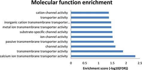Results from the enriched molecular functions obtained from the NutriGenomeDB phenotype-centred analysis module. The presented bar chart includes the overrepresented molecular functions with statistical significance (FDR < 0.05).