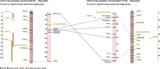 Marker correspondences on the MapViewer main interface page showing lines drawn between linkage groups connecting markers that are shared between the reference and comparison linkage group.