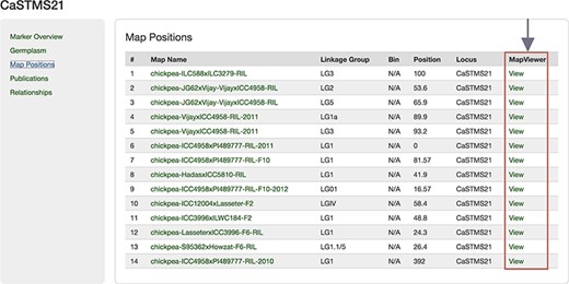Map Positions table of a Marker page showing the link to MapViewer.