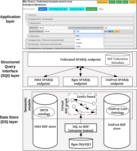 Overview of the ontology-driven federated data integration architecture applied to Bgee, OMA and UniProt. The application layer depicts a web search interface with editable templates to jointly query the data stores. Available online at http://biosoda.expasy.org.