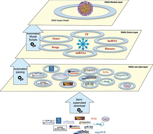 The RING architecture. The database is organized into three hierarchical layers. The bottom layer (raw data layer) integrates raw data imported from several external sources, the middle layer (omics layer) groups together data referring to similar interactors, and finally the top layer (model layer) exposes data in a holistic network-like representation.