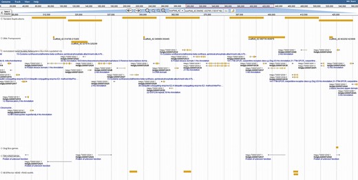 Duplication of effector genes through transposition/tandem duplication. Three types of effectors appear duplicated by tandem duplications, a DOG-box gene, multiple secreted genes and genes containing motifs derived from 80 previously published SCN effector sequences. JBrowse annotations are in the following order: tandem duplications, DNA transposons, ortholog-annotated genes, DOG-box genes, secreted genes and effector MEME motifs. Ortholog names represent the number of orthologous annotations among nine related plant-parasitic nematodes in the Tylenchia subclass.