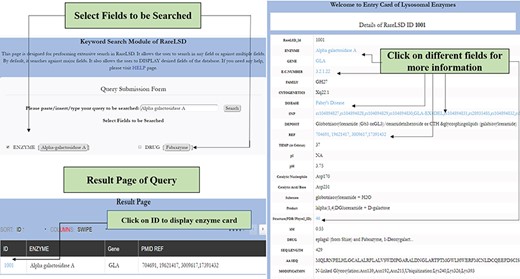 The workflow for simple search in RareLSD.