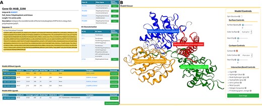 Models page. (A) Information about the selected protein in the top section (UniProt ID, enzyme commission number, Pfam domain, protein sequence and description), followed by tables with the models’ attributes for both liganded and non-liganded models. (B) In the bottom section, an NGL model viewer is displayed with a number of interactive options. The models are available for direct download, both individually or as a bundle.
