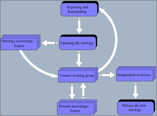 Overview of different steps in the remodelling, reviewing and release of the SCDO by curators, domain and ontology experts and independent reviewers.
