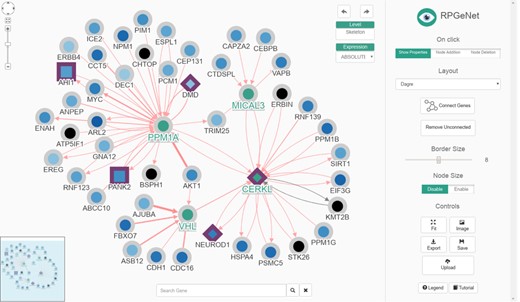 The renewed Network Explorer interface of RPGeNet. In this example, the Network Explorer interface shows a subgraph containing all the genes that directly interact with CERKL within the skeleton subnetwork, after expanding nodes for PPM1A, VHL and MICAL3 (those selected four nodes highlighted in green, driver genes border in purple, node colors based on the ‘ABSOLUTE’ gene-expression data). Some improvements to the interface can be appreciated: a ‘search’ gene add-on at the mid-bottom, an expression data set selection drop-down menu at the right-top corner of the network visualization canvas, as well as the ‘undo’/‘redo’ buttons. A more dynamic ‘buttons panel’ on the right facilitates the interaction with the network data. Finally, the coloured-by-type interactions also provide directionality information with arrow heads and have reliability-score proportional widths adjusted to the number of evidences supporting them. This figure can be reproduced on the Network Explorer if users upload the Supplementary File 1.