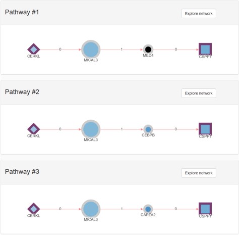 Example of a pathways list returned using the shortest pathway RPGeNet query. CERKL and CSPP1 where used to start the pathway search on the main RPGeNet form. Only the first three pathways of the 28 retrieved by that query are shown on this figure, all of them at the shortest path length of three (three edges and two nodes between the chosen identifiers). By clicking on the corresponding ‘Explore Network’ button on any of the listed pathways, users can easily jump to the Network Explorer interface to work on the selected genes for that pathway.