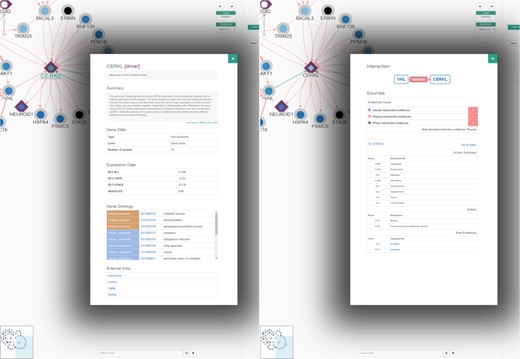 An example of node (left) and interaction (right) information panels from the Network Explorer interface. The default behaviour ‘On click’ of the Network Explorer interface is to show ‘node properties’ (see topmost controls on the right panel of that interface on previous figure). From the network example of Figure 3, when clicking at the CERKL node the gene/protein information panel pops up to display a description of the gene, known aliases, a summary of its expression levels and functional annotation and links to external references. On the other hand, by clicking on an edge, VHL to CERKL in this example, the interaction panel pops up, providing information about the type of possible interactions (genetic, blue; physical, red; or ‘unknown’, black), as well as a series of tables containing details about the supporting evidences from the distinct sources, along with the corresponding external links to the reference databases and to the supporting evidences when possible.