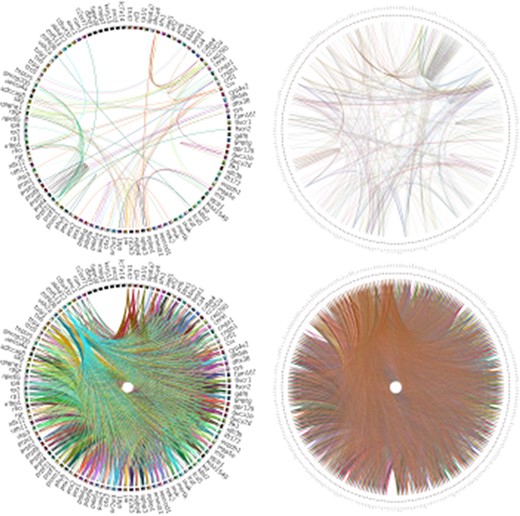 Analysis of RPGeNet v1 and v2 networks connectivity with Circos (19). The figure compares the connectivity of the driver genes of the old RPGeNet v1.0 (left) and the updated RPGeNet v2.0 (right). The top pair of the plots shows all the shortest paths between driver genes at distance one, meaning direct interaction between each pair of driver genes. The bottom part of the plots provide the comparison at distance three, meaning there are two genes in the shortest path between a pair of driver genes of interest. It is clear from the visualized Circos plots that the updated RPGeNet database has a highly connected network.