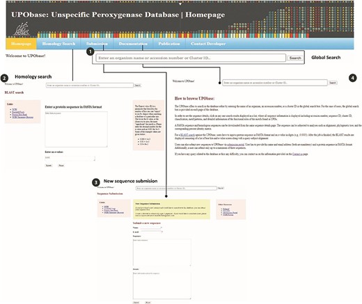 An overview of the utilities of UPObase. (1) A global search box displayed at every page of the database to allow browsing convenient; (2) BLAST search feature where a user can enter any sequence and find homologous sequences corresponding to the input; (3) a new sequence submission portal; and (4) documentation page for help.